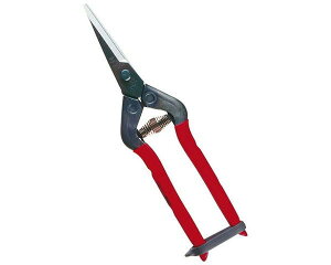 �`�J�}�T�E��؁E�E�����ET�|55CH�y�����Y�Ɓz