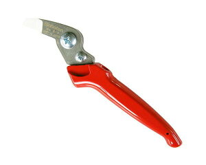 T{eE͂iCtENoDB|9yYƁz