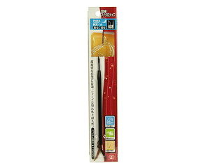 SK11E}CNiCtEPNM|6iioLyYƁz