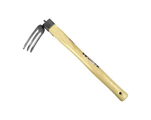 ��g�X�e�����X�Ў�L�@�O�{�y�����Y�Ɓz