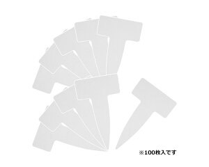 ZteB|3|px@T^100yYƁz