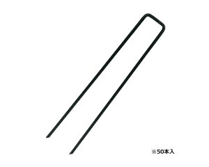 ZteB|3R̎sO[50PCSyYƁz