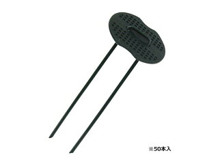 ZteB|3R̎sZbgO[yYƁz