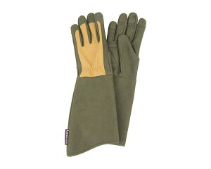 ZteB|3gQhɂLG@SyYƁz