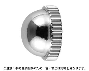 TB-5-2 rX@[bg{[Lbv(^J)13×8 o N[