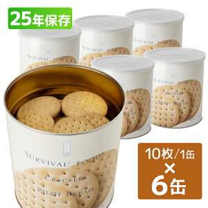 ToCot[Y NbJ[ 910g 6ʋl