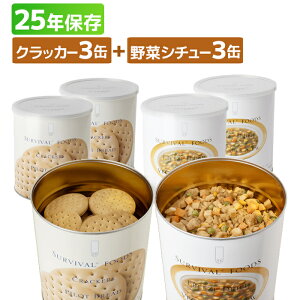 y11/20-27聚Gg[P10{z ToCot[Y t@~[Zbgi؃V`[&NbJ[j