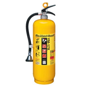 yZbgE10{ȏzy2025Nz}g YM-17X ΍Еˊ lI^K[h ~ TCNV[t