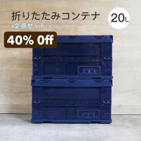 2点 折りたたみコンテナ 収納ケース 蓋付き 収納ボックス 20L×2点 収納 車 丈夫 軽量 コンパクト 蓋付き ロック付き 窓 ラベル入れ 運搬 保管 業務用 おしゃれ 防災 食料 おもちゃ