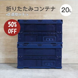 2点 折りたたみコンテナ 収納ケース 蓋付き 収納ボックス 20L×2点 収納 車 丈夫 軽量 コンパクト 蓋付き ロック付き 窓 ラベル入れ 運搬 保管 業務用 おしゃれ 防災 食料 おもちゃ