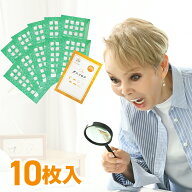 【エントリーでポイント最大47.5倍】【400万枚突破ダニ捕りシート】ダニコロリ ダニコロリシート 10枚 ダ…