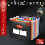 【SS最大15%OFFクーポン】＼楽天ランキング1位／【整理収納アドバイザー監修】ドキュメントファイル A4対…