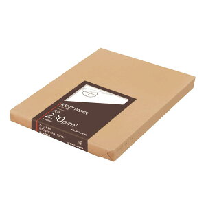 �R�N��(KOKUYO) �P���g�� A4 100�� 230g �Z-KP39