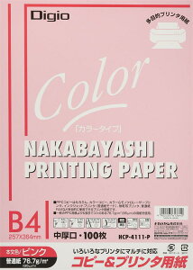 iJoV Rs[p J[^Cv 100 B4 sN HCP-4111-P