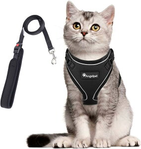 �L �L�p �n�[�l�X ���� �L�� �˂� �l�R �q�L �q�� ���^�� �U�� ���o���� �����Ȃ� �x�X�g �\�t�g������ �y�� ����ʂ����}�W�b�N�e�[�v�ő��� �T�C�Y���߉� �锽�� �ʋC���b�V�� (XS�T�C�Y (x 1