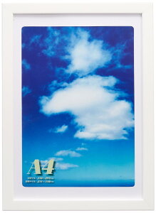 FUJICOLOR �z�� �f�W�t�H�g�t���[��D4 A4(B5�p�}�b�g�t) A4 �ؐ� �z���C�g 22429