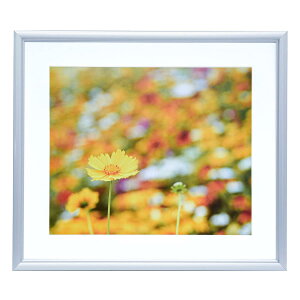FUJICOLOR �A���~�z�� A32 4�� �V���o�[ 306648