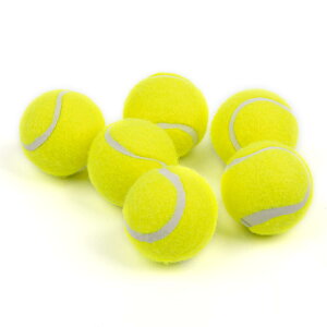 pet prime ���p�������� �~�j�e�j�X�{�[�� 6���� ���a5cm �{�[�������`���[�K�p �� �y�b�g�p�i �^���s�� �X�g���X����