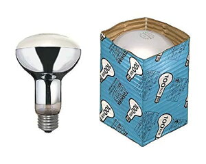 ���� ���t�����v �~�[�b�g�` 110V 100W�` E26���� RF110V95WM