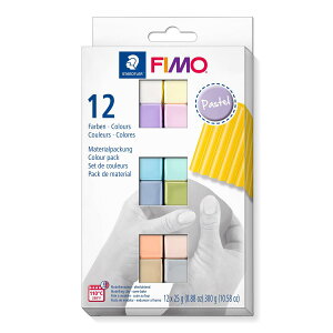 STAEDTLER 8023 C12-3ST���f�����O�N���C�A�p�X�e���J���[�A12�n�[�t�u���b�N