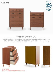 rtł|yXIk̂ȃfUC YnC`FXg@i : CH-01-HC