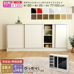 y˃V[YzZ~I[_[JE^[[҂肭 Lrlbg(|J^Cv OC) 120cm×s25cm