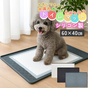  gCg[ VR 60×40cm 􂦂 ybg}bg gC}bg h ~ ې􂢉\ _炩f H}bgp ܂肽 gѕ֗ ^ ^   ɂ