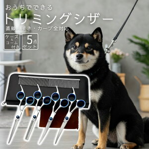 y|Cg10{z ybgp g~OVU[ 5_Zbg g~O ZjOVU[ Xg[g J[uVU[ R[t Ztg~O nT~  L Jbg ͂ g}[ ZtJb