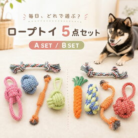 犬 おもちゃ ロープ 5点セット 噛むおもちゃ 引っ張りおもちゃ ボール ロープトイ 選べる2タイプ 犬用玩具 噛む 引っ張る 投げる 室内遊び 暇つぶし 小型犬 中型犬 ペット おもちゃセット