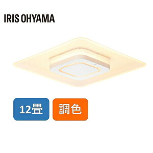 �A�C���X�I�[���} CEA-A12DLPS [LED�V�[�����O���C�g �p�l�����C�g�X�N�G�A 12��] ���[�J�[����