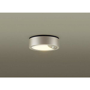 PANASONIC LSEWC2089LE1 [LED�����p�V�[�����O���C�g (�d���F)]