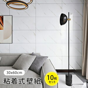 ǎ 10Zbg  ǎV[ 30*60cm fMV[g  h hɂD ǎ ^C ͂ lC̃Lb` ʏ gC CeA n DIY ϖՐ h S Cɂ\