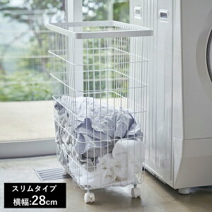 yr[Tz [ h[oXPbg ^[ LX^[t X Ch[ ] R tower h[oXPbg 󂩂 LX^[ JS E߂  [ ʏ E