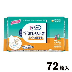 y30yVJ[hςP4{zCt[ӂ 72 gCɗ^Cv r  lp pi a@ { Օi