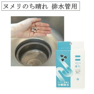 y撅503500~ȏ110~N[|zzzk̂ rǗp 50 rbOoCI ˂|X | ra  k  |