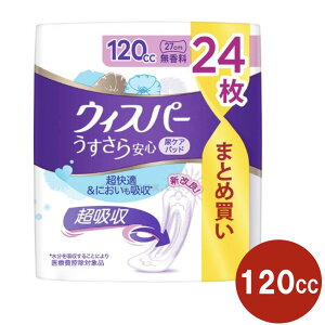 y撅503500~ȏ110~N[|zzzEBXp[ S  120cc 16 24 AƂpbh pbh A  r z K e ܂Ƃߔ PG