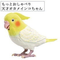 おしゃべり セキセイ インコの通販