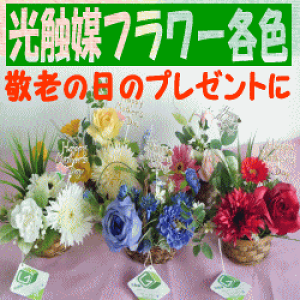 y撅30200~N[|zzIzhV̓@̓@@G}H t[eF@bsOt@͂Ȃ@v[gE@G}H