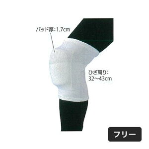 y5SiP2{50~ItN[|zzzۉppbhtT|[^[ 1 pi ߗ T|[^[ PKh~ G̕ی { GT|[^[ ۉ gWp