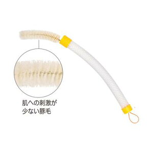 y3000~ȏŎg50~ItN[|zzzoiiJ[u {fBuV p  CpuV uV V[uV ^V  uV { pVtBbNTvC 6929