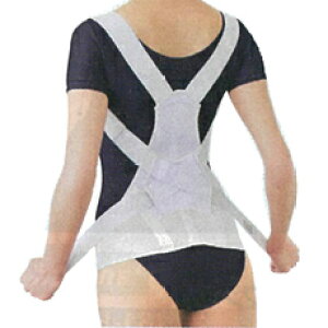 y18ڃf[őP4{z҂̂wxg M-LEL-LLyʔN pxg w T|[g ␳z