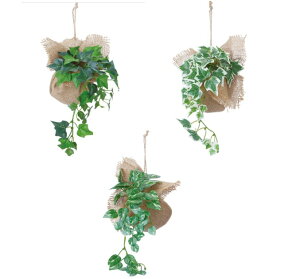 yU25߂Ă̒P3{zO[AW@o[bv@ACr[nK[O[@|gXnK[@CeAO[ nMO G}H  tFCN