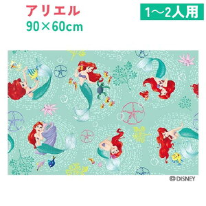 �����N�Z���@�f�B�Y�j�[ �A���G���@���W���[�V�[�gS3�@S�T�C�Y�@90×60cm ���W���[�V�[�g�̎����^�тɕ֗��ȃ`���b�N�t���ܓ���@ �L�����N�^�[ �f�B�Y�j�[ ���� ���w ���� �L�b�Y �q�� ���W