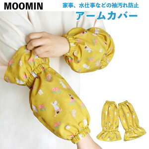 y10SiP2{&50~ItN[|z[~ A[Jo[ [~}} }X^[h ST-IM0073 h~ Jo[  d H 31cm OJo[