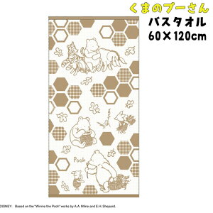 y1Gg[Ń|Cg3{zfBYj[ NVbNEv[ VV~G oX^I 60×120cm ܂̃v[ 100% Rbg oXpi C