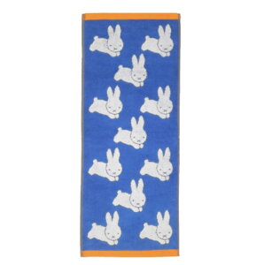 y30yVJ[hςP4{zmiffy ~btB[ u[iETM tFCX^I 33×80cm ^I C oXpi  w  ʋ ʊw