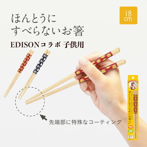 y3000~ȏ50~ItN[|zzzerŏЉIh قƂɂׂȂ EDISON R{ ǂ GW\R{ qp 18cm ͂ nV   ͂  VR H@