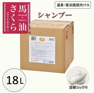 y撅503500~ȏ110~N[|zzzn Vv[18L e lփTCY Ɩp  h{ n ̍ RbNt C 