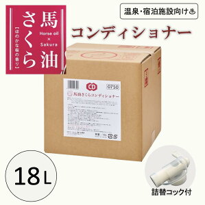 n RfBVi[ 18L e lփTCY Ɩp  h{ n ̍ RbNt C 