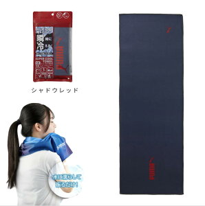 y5SiP2{50~ItN[|zzzPUMA -552 X[p[N[^I ڐG⊴^I 31×90cm MǑ΍ N[^I ^I Ђ ې RۖhL OJbg